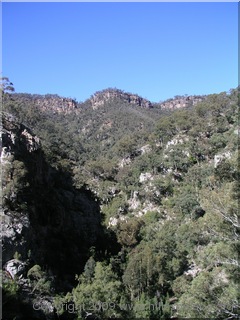 View into sentry box canyon - Myall Creek - Ettrema Gorge