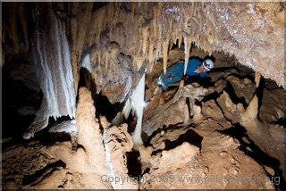 Cliefden Caves