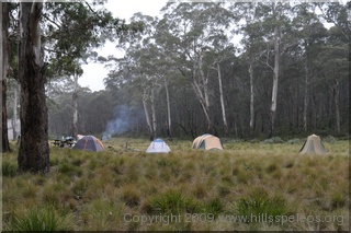Wyanbene campsite