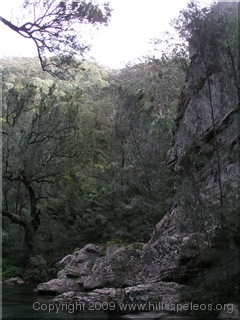 Walk along Ettrema Creek - Ettrema Gorge