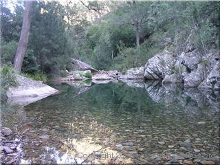 Ettrema Creek - Ettrema Gorge