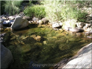 Myall Creek - Ettrema Gorge