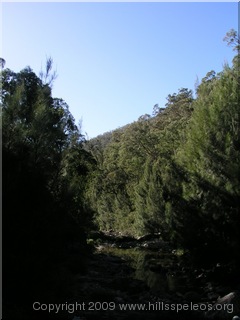 Myall Creek - Ettrema Gorge