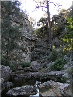 Climb up Myall Creek - Ettrema Gorge