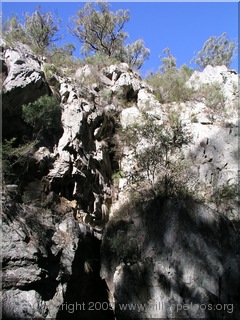Climb up Myall Creek - Ettrema Gorge