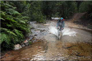 Andersons Fire Trail