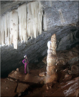 Cliefden Main Cave