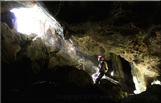 Timor Caves
