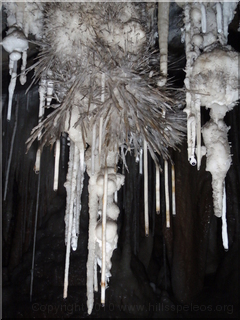 Kubla decorations