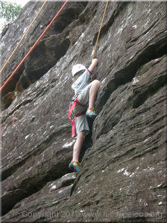 A new species of insect - the Callum Rock Spider
