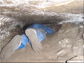 Eaglesnest crawlspace