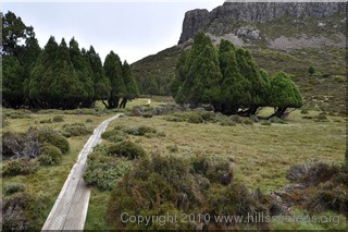 On the way up to Damascus Gate