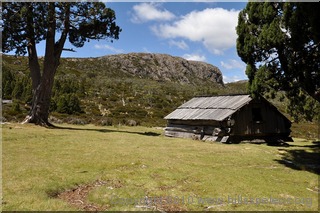Dixons Kingdom Hut