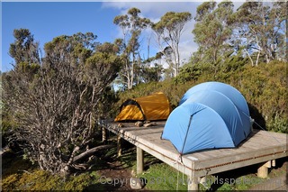 Tent platforms at Wild Dog Creek