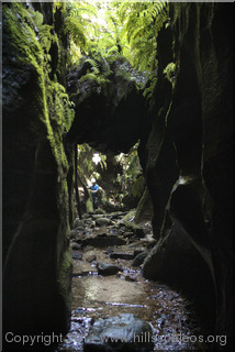 Whungee Wheengee Canyon