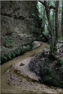 Bowens Creek South Branch