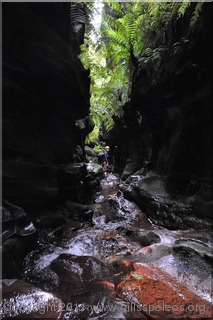 Corkscrew Canyon