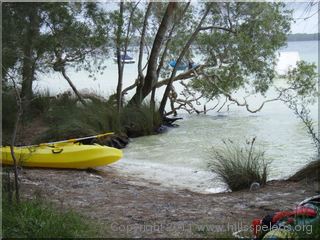 Shelley Beach
