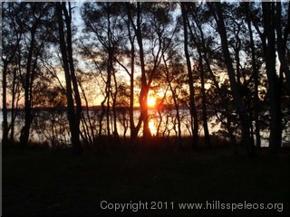 Sunset through the casurinas