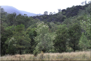 Cathedral Rocks, Church Creek 