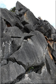 Cathedral Rocks, Church Creek