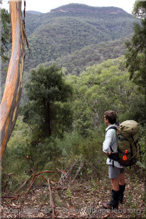 The View into Church Creek from the Mt Armour Fire Trail