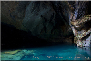 A water filled Macropodidaes