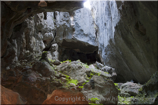 Green Pot - Carpentaria Cave