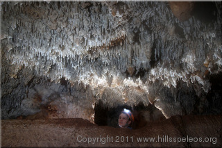 Straws in Basin Cave