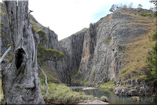 Cave Creek, Cooleman