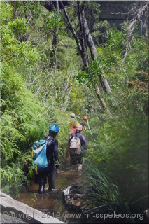 Creek walking in the upper section