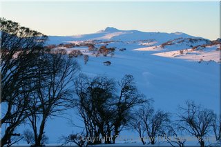 Mt Jagungal from Mawson Hut