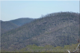 Fire impact - North of Wollangambe One