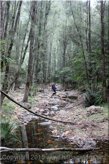 Breakfast Creek