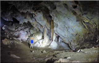 Cliefden Caves