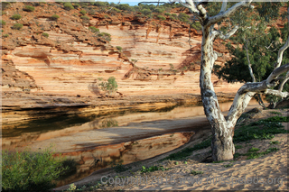 Murchison River