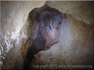 Cave C254