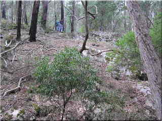 Dave and Rick looking for limestone