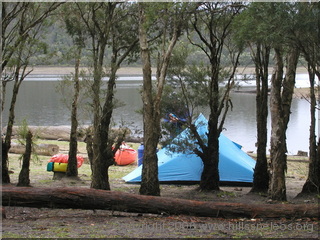 Campsite - Tallowa Dam