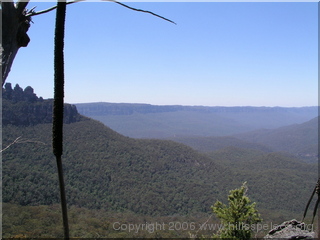 The view - with included native habitat