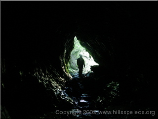 emerging from Nettlebed