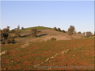 Cliefden NSW
