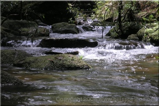 Bungleboori Creek