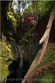 Coachwood Canyon